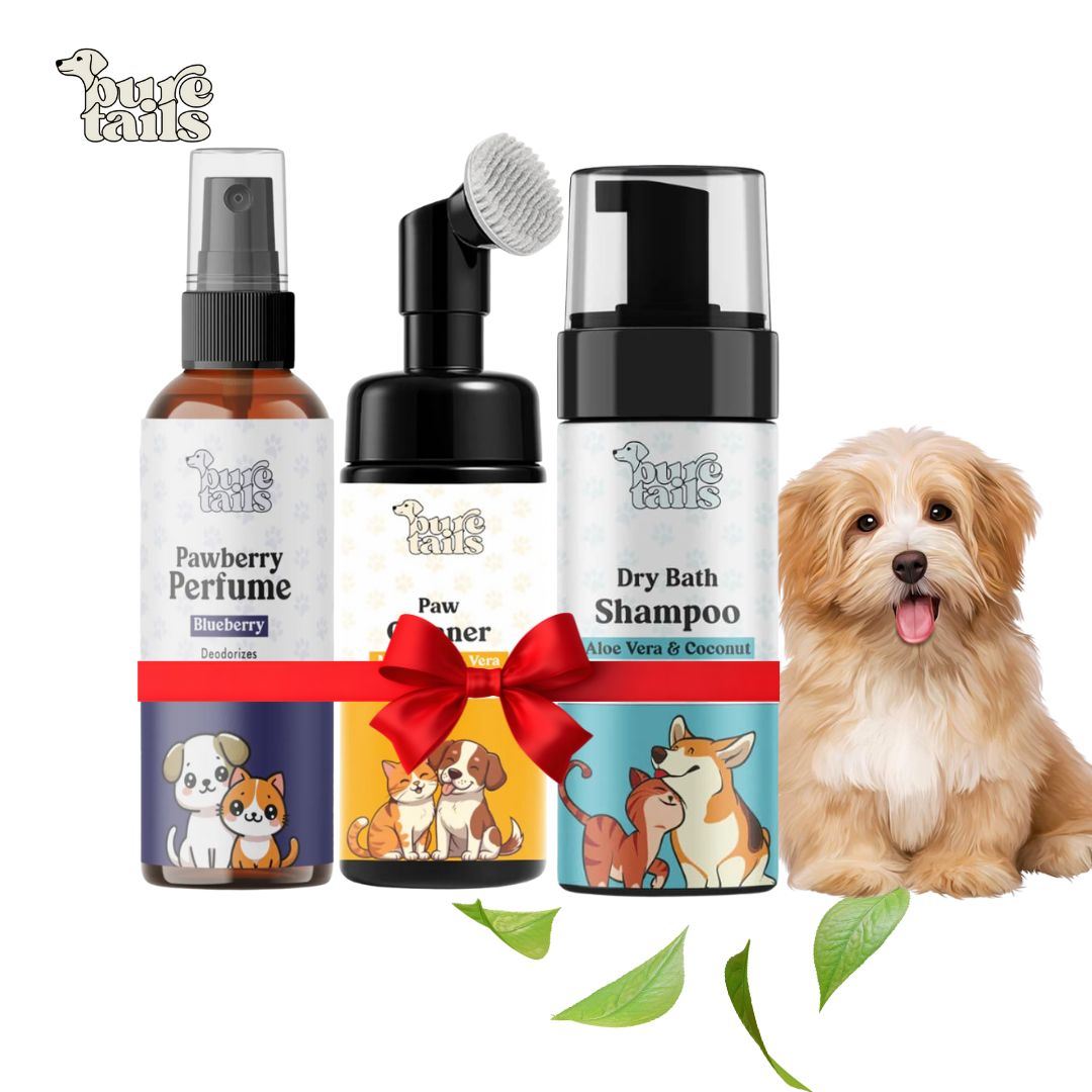 Pure Tails (Combo of 3 )Aloe Vera & Coconut Dry Bath Shampoo, Paw Cleaner with Brush & Blueberry Pawberry Perfume