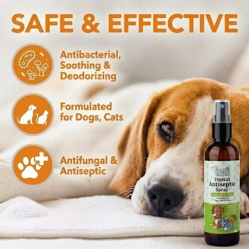 Pure Tails (Combo of 3) Neem Tea Tree Tick Flea Shampoo, Dental Spray Cinnamon, Topical Antiseptic Spray - Pet Anti-Tick Oral Skin Kit.