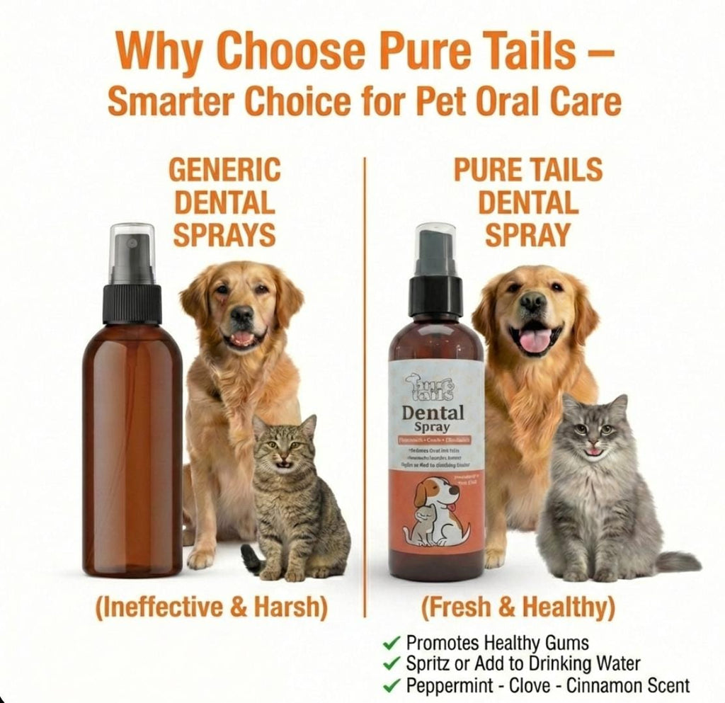 Pure Tails (Combo of 3) Oatmeal Honey Shampoo, Topical Antiseptic Spray, Dental Spray Cinnamon - Pet Skin Oral Fur Care Kit.