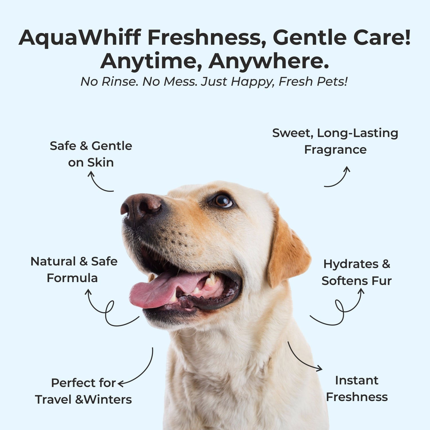 Pure Tails Pet Hygiene & Training Trio: Dry Bath Spray (Peach), Chew Stopper Spray & Sniff Lily Perfume