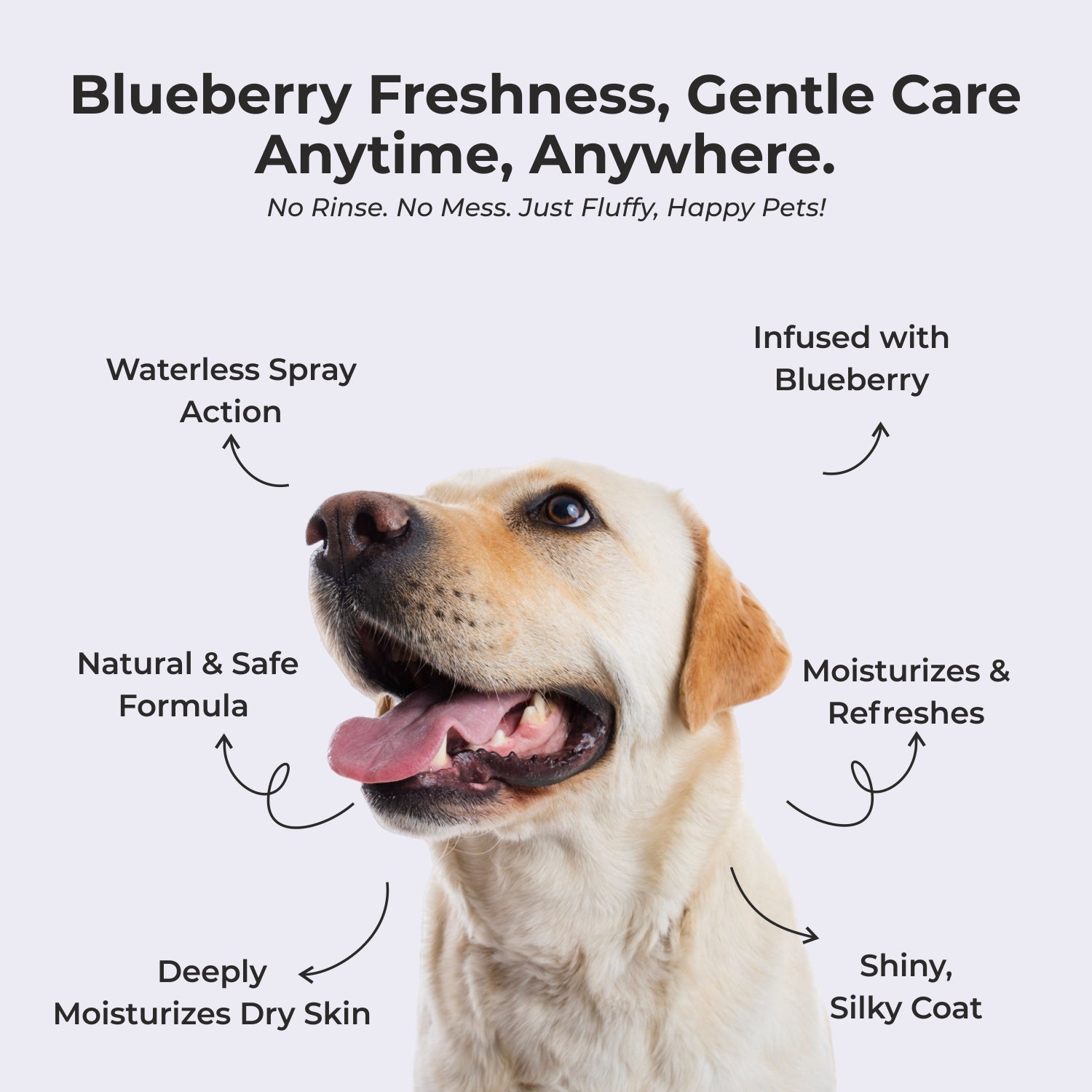 Pure Tail 4-in-1 Complete Grooming & Protection Kit: Peach Dry Bath Spray, Anti-Tick Powder, Pawberry Perfume & Flea Comb