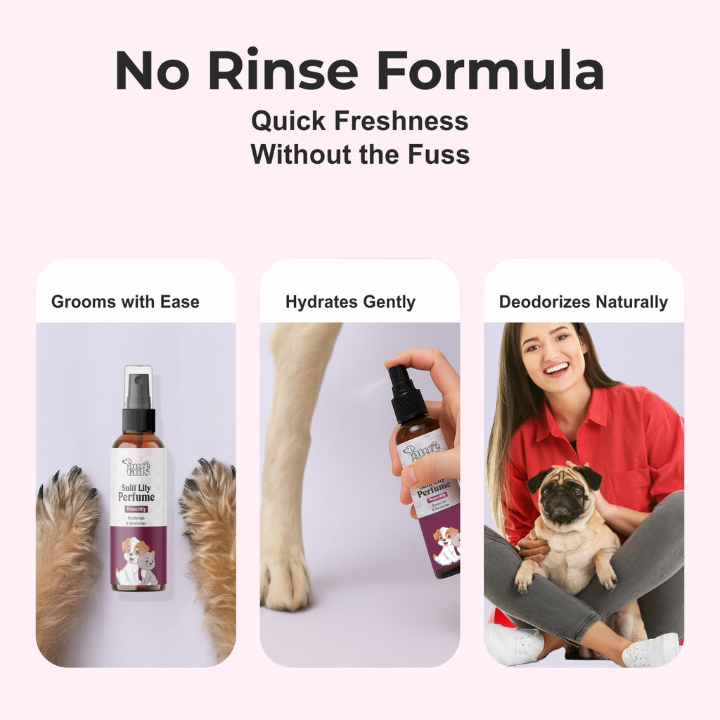 Pure Tails  Fresh & Protect Trio: Dry Bath Spray (Peach), Chew Stopper Spray (Lime & Mint) & Sniff Lily Perfume (Waterlily)